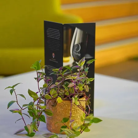 Otel Luxotel Cannes